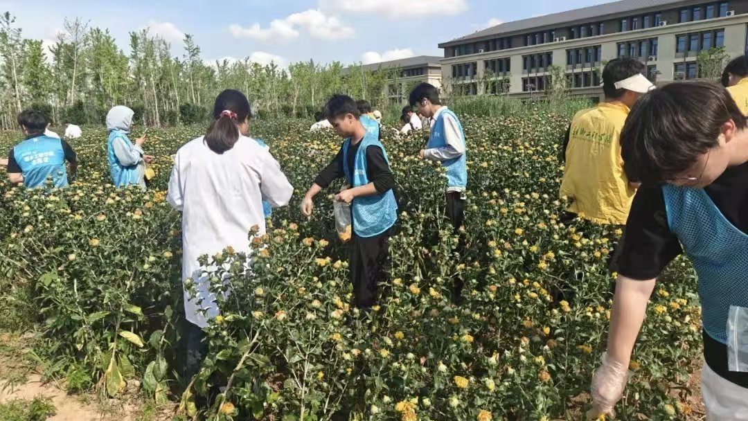 为落实河南省ky88com官网手机版